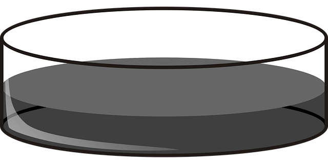 Free petri dish deep lab vector