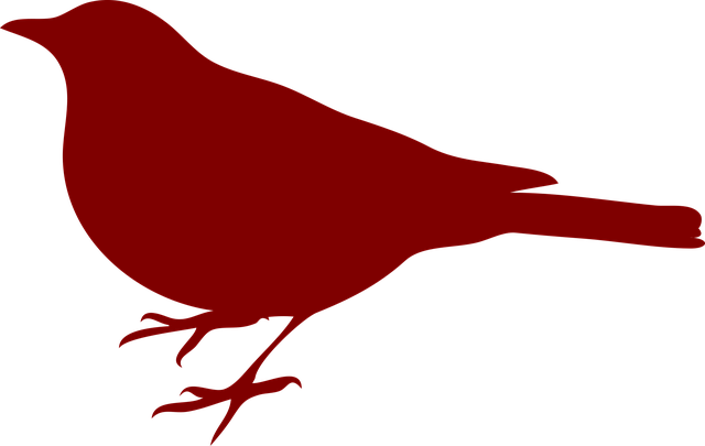 Free bird black silhouette vector