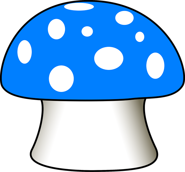 Download free HD stock image of Mushroom Fly Agaric Free mushroom fly agaric blue vector