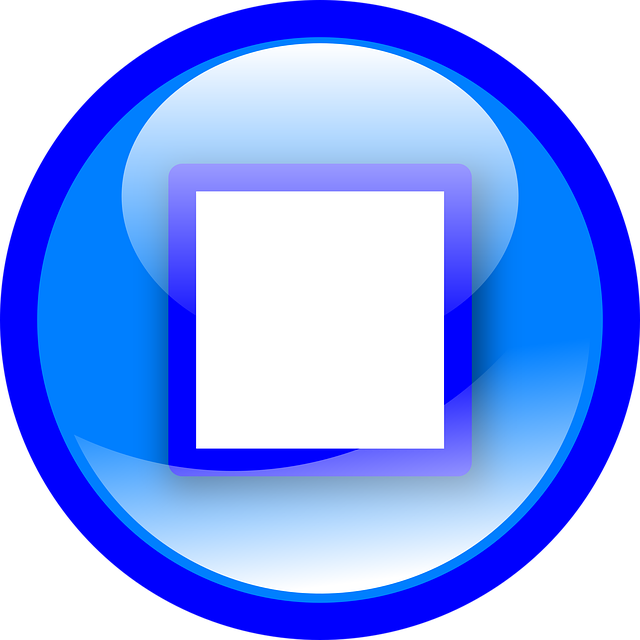 Free button stop recorder illustration