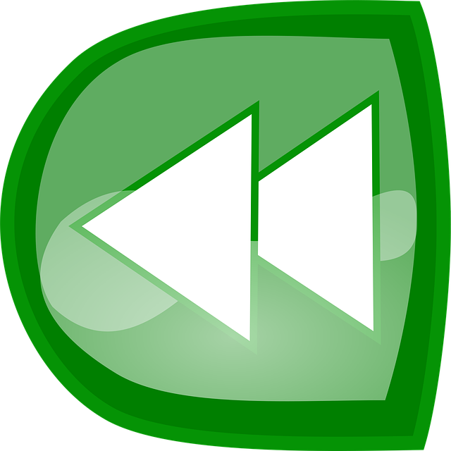 Free arrows left sign vector