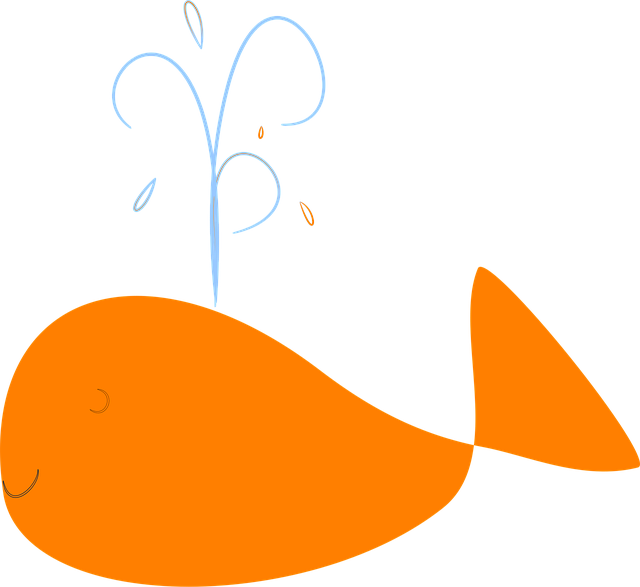 Free whale happy splash vector