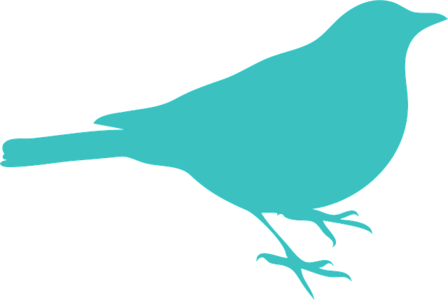 Free blackbird bird sit illustration
