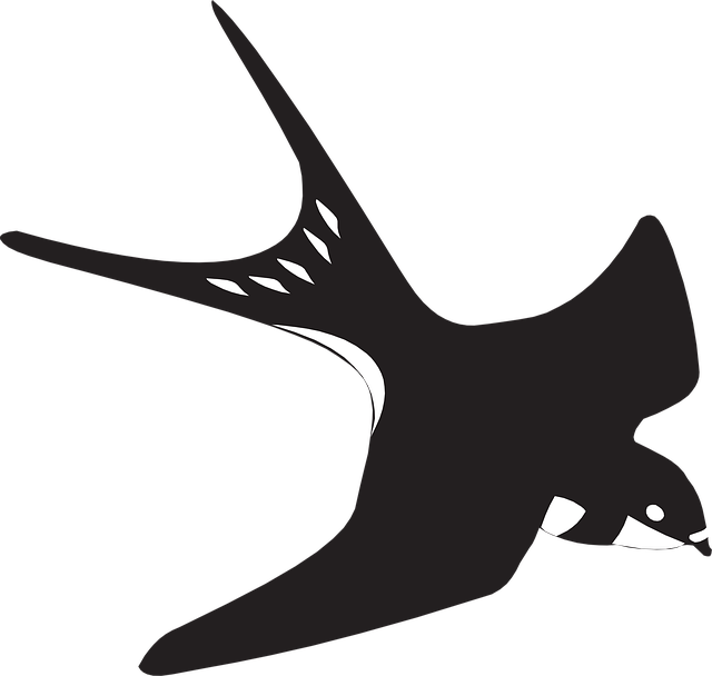 Free swallow nature martin vector