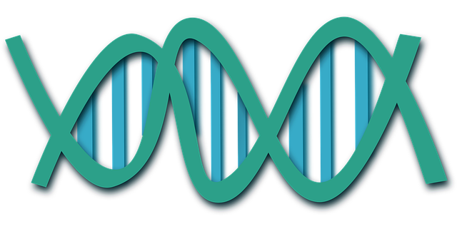 Free dna helix science vector