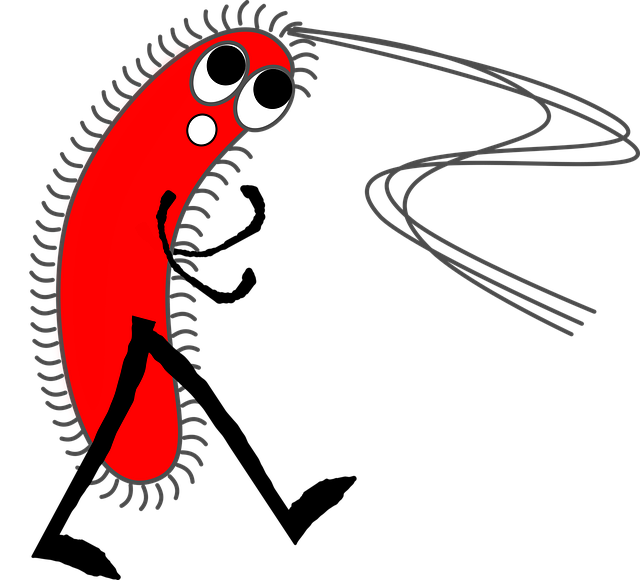 Free germ virus bacteria vector
