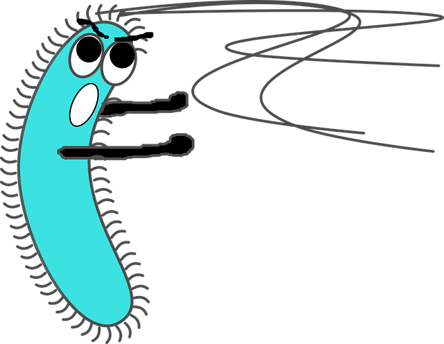 Free germ virus bacteria vector