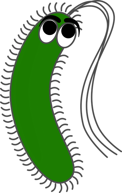 Free germ virus bacteria vector