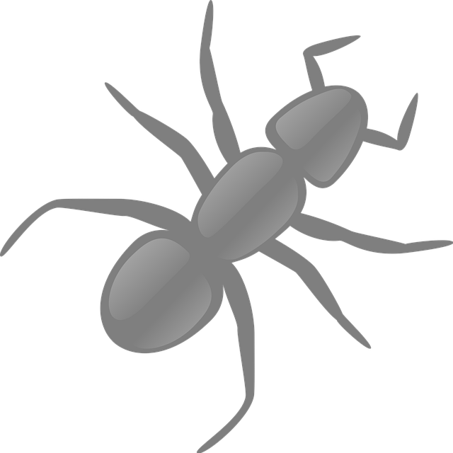 Free ant insect animal vector
