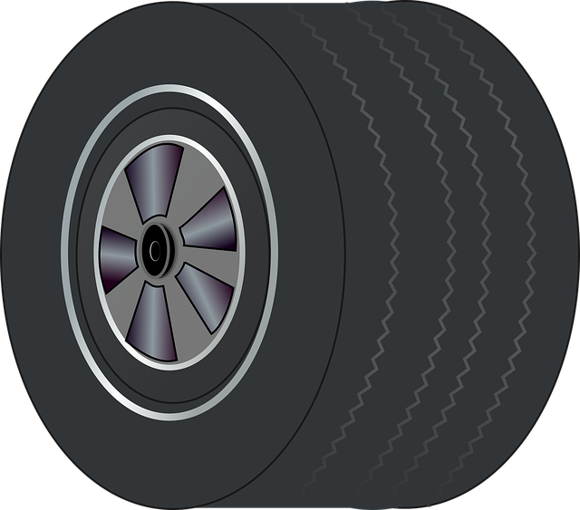 Free wheel tire wide vector