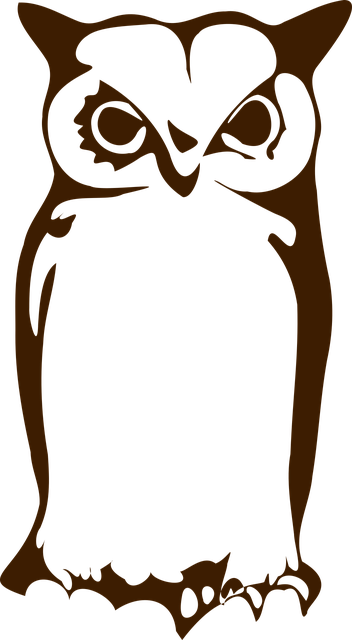 Free owl nature drawing vector