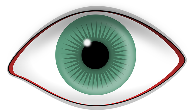 Free eye green red-rimmed vector
