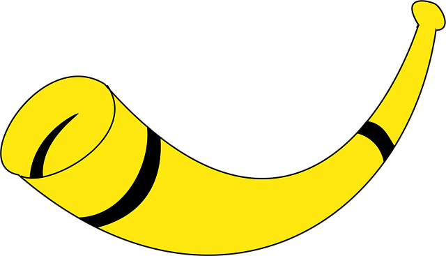 Horn, Kegel, Schlag, Instrument