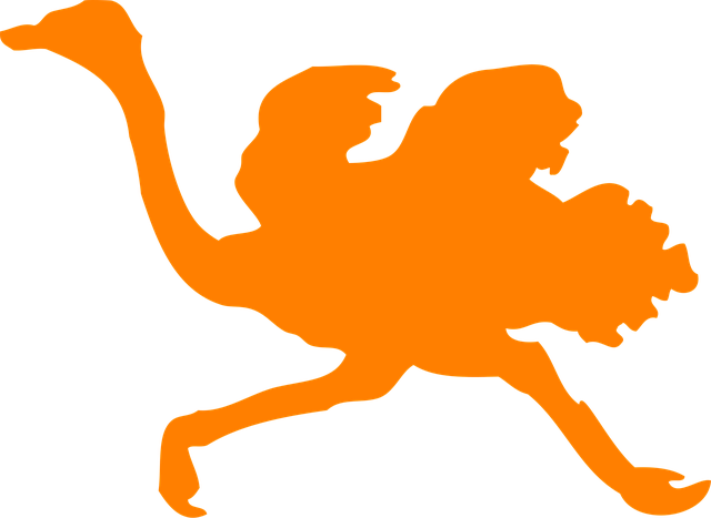 Free ostrich orange large birds vector