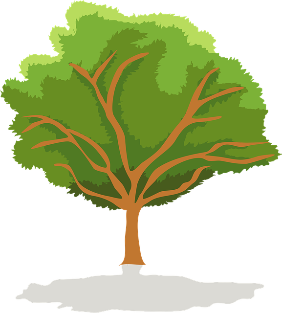 Free tree green outdoor vector