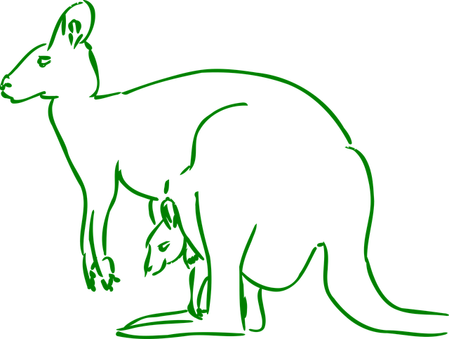 Free kangaroo baby nature vector