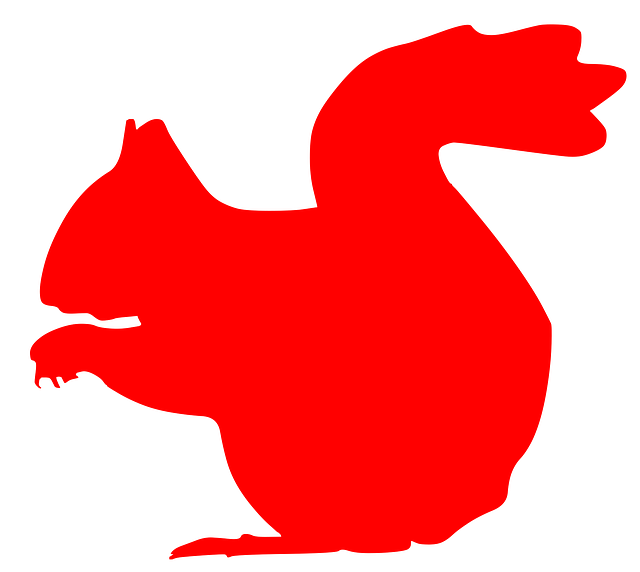 Free squirrel mammal animal vector