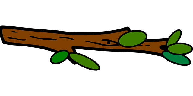 Free branch leaves green vector