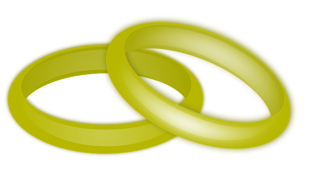 Free rings wedding marriage vector