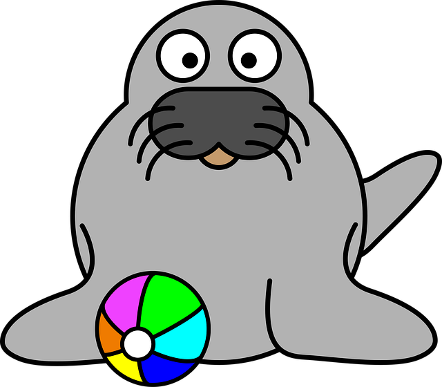 Free seal nature mammal vector