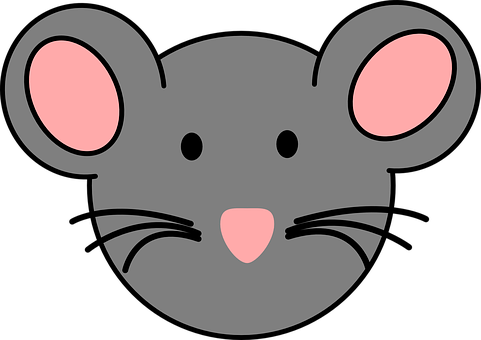 Mouse, Face, Animal, Mammal, Pink, Nose