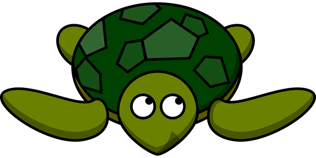 200 多张免费的“Turtle”和“乌龟”矢量图 - Pixabay