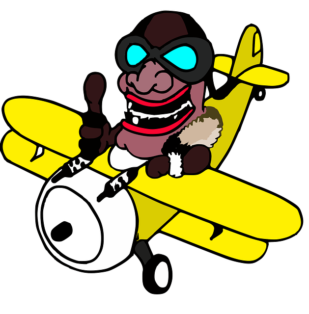 Free biplane flying scan vector