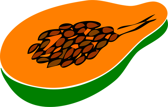 Free papaya fruit halved vector