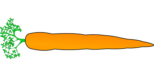 Free carrot vegetable food vector