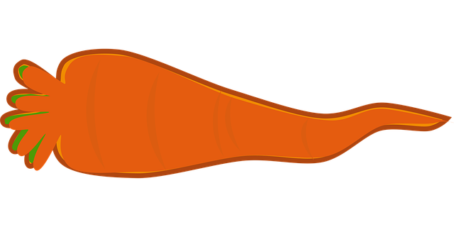 Free carrot parsnip vegetable illustration