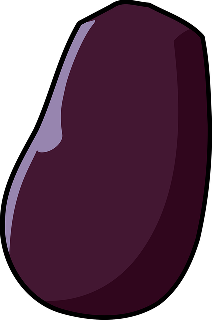 Free eggplant brinjal vegetable vector