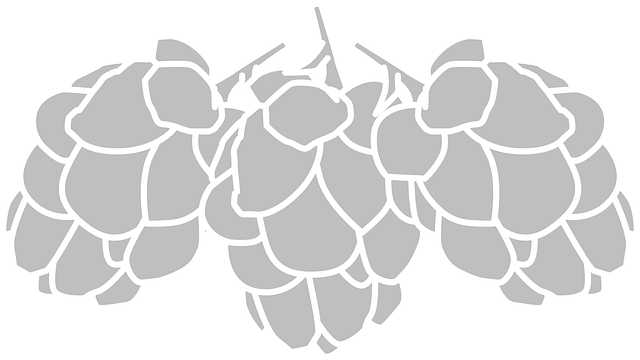 Free hops fruit food vector