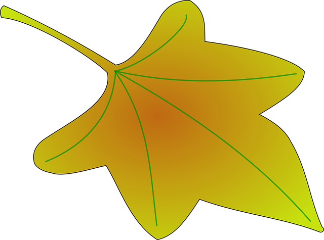 Free maple leaf floral vector