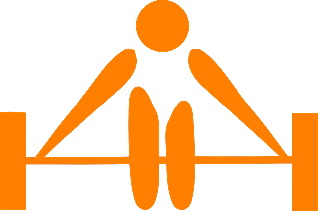 Free Weight Lifting Lifting vector and picture