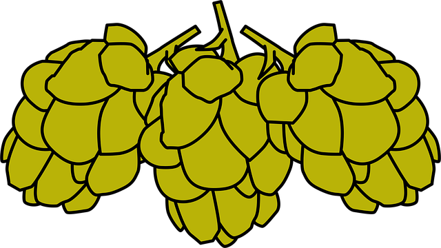 Cones, Fruta, Agrupar, Natureza, Bagas