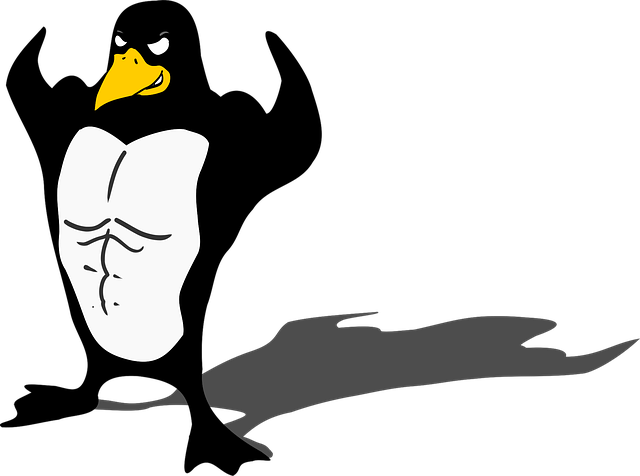 Pinguin, Pasăre, Viata Salbatica, Frac