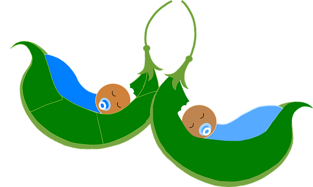 Free babies sleeping cradle vector