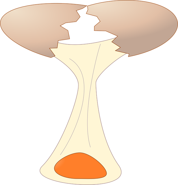 Download free HD stock image of Egg Yolk Free egg yolk broken illustration