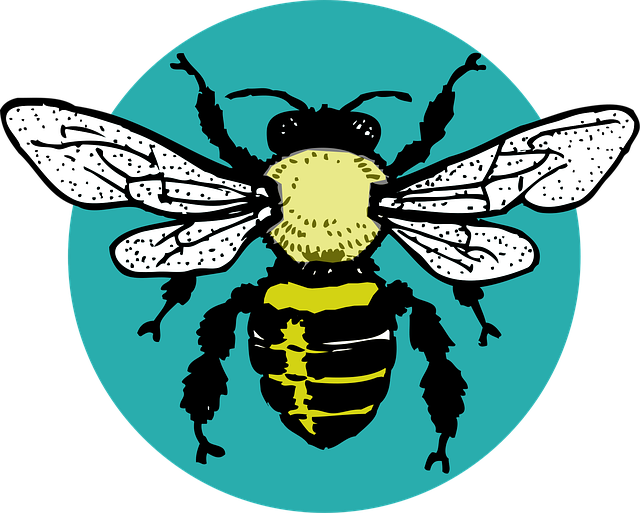 Free bug hornet bee illustration