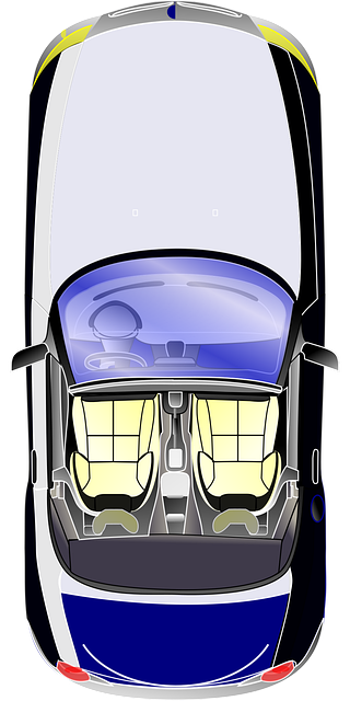 Free car blue seats illustration