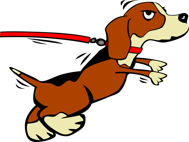 Perro, Cachorro, Correa, Naturaleza