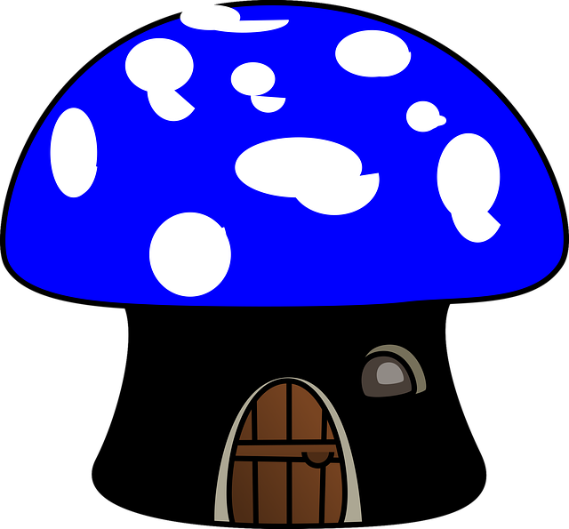 Champignon, Hus, Iglo, Dør, Ventilator
