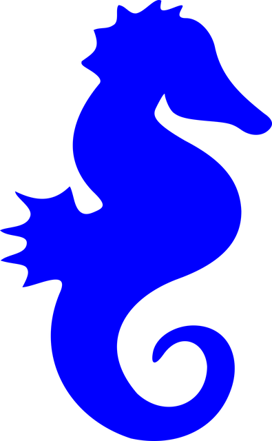 Free seahorse nature sea horse vector