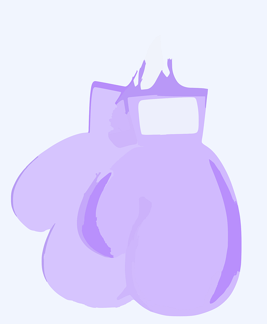 Free boxing gloves sport vector