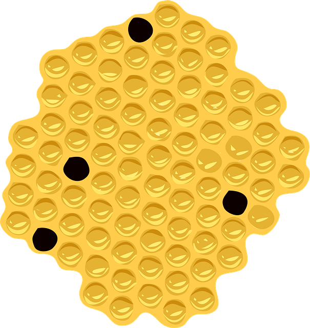 Free shape orange spots vector