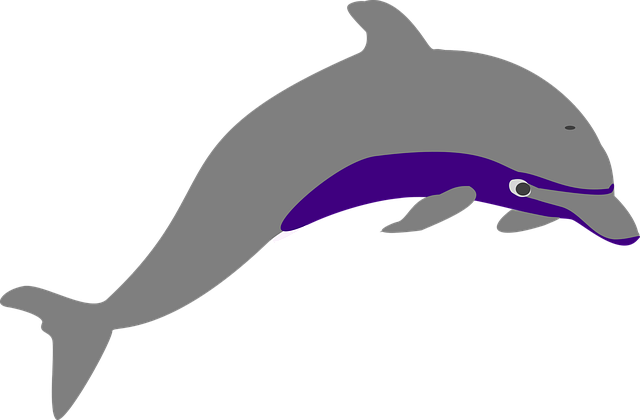Download free HD stock image of Dolphin Leaping Free dolphin leaping sea vector