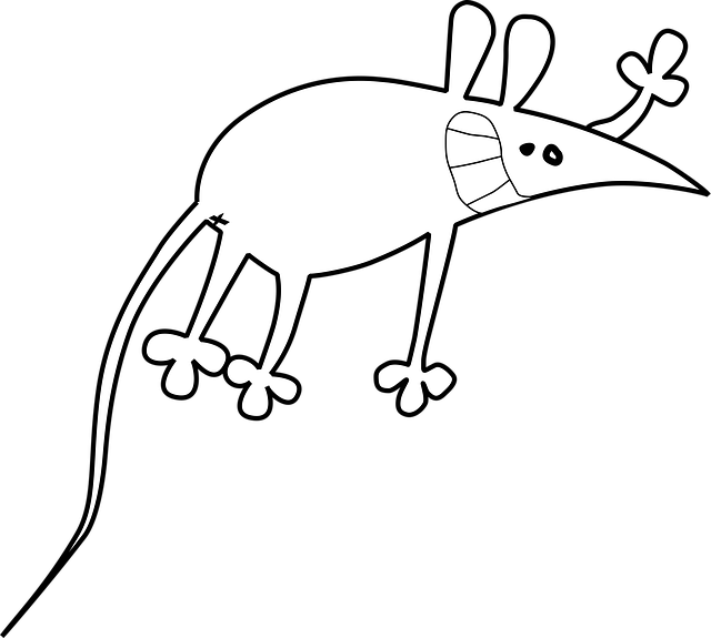 Free Rat Mouse vector and picture