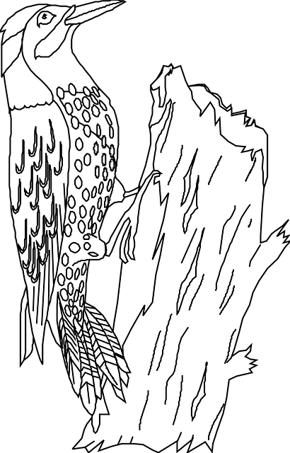 Free bird perched woodpecker vector