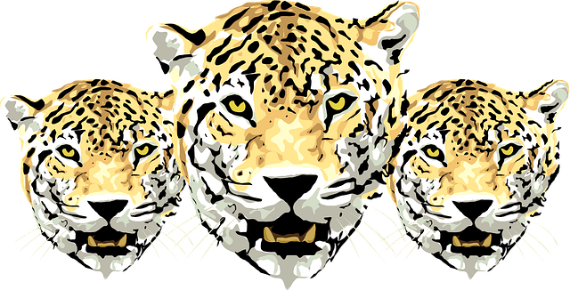 Free leopard head spotted vector
