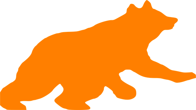 Free bear leaping running vector
